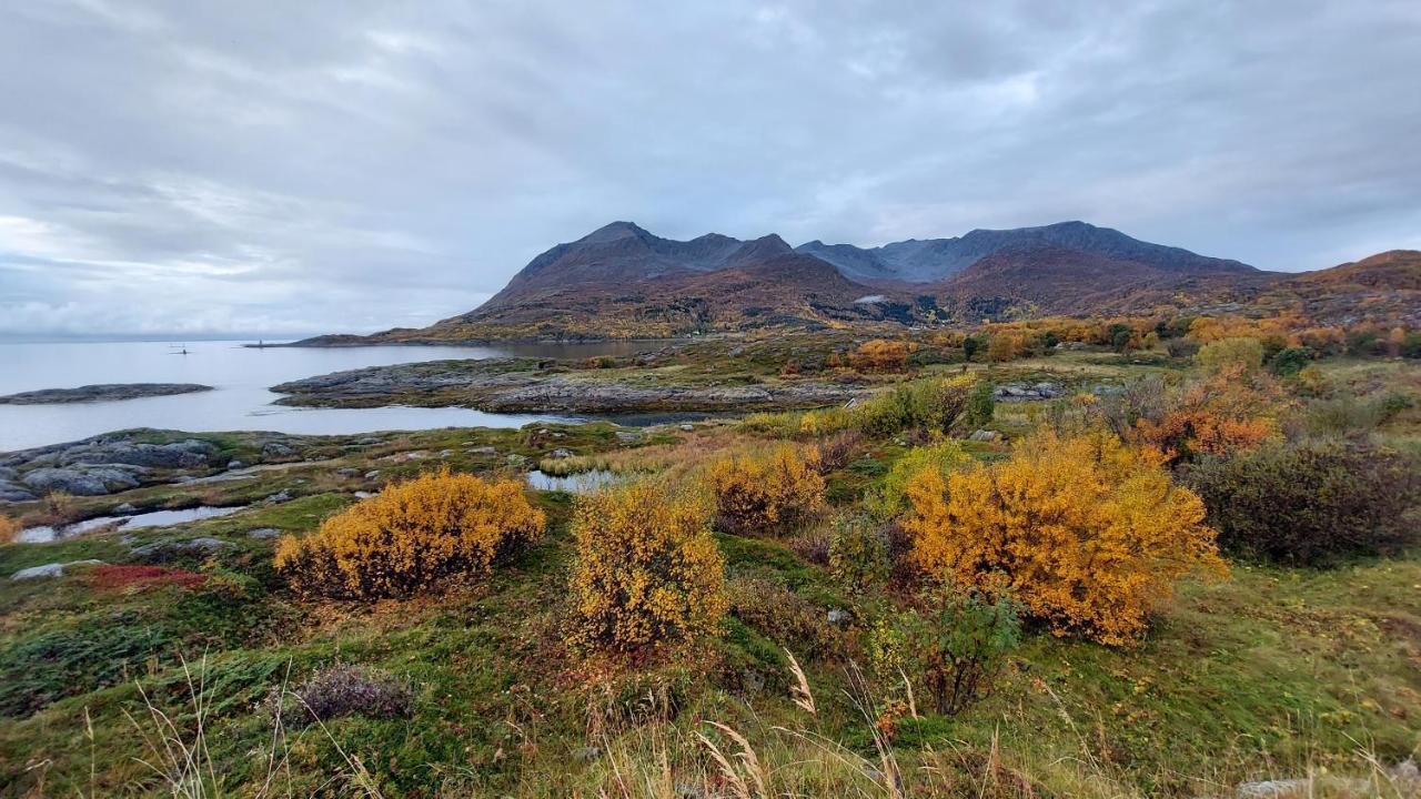 Holiday Home On Senja Senjahopen Exterior photo